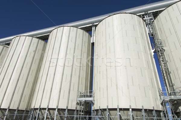 grain silos Stock photo © pedrosala