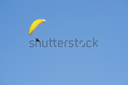 Paragliding Stock photo © pedrosala