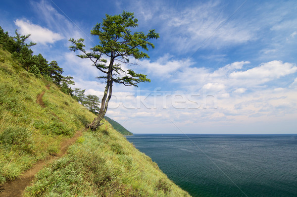 ストックフォト: 湖 · 海岸 · 町 · シベリア · ロシア · 空