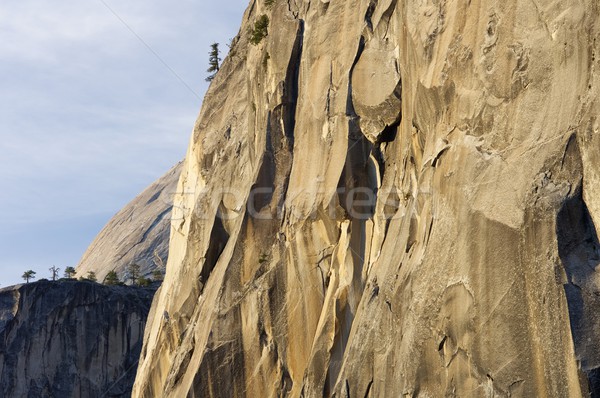 Liberty Cap Stock photo © pedrosala