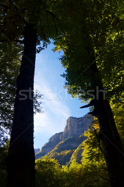 Ordesa National Park Stock photo © pedrosala