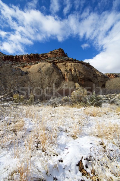 Indian Creek view Stock photo © pedrosala