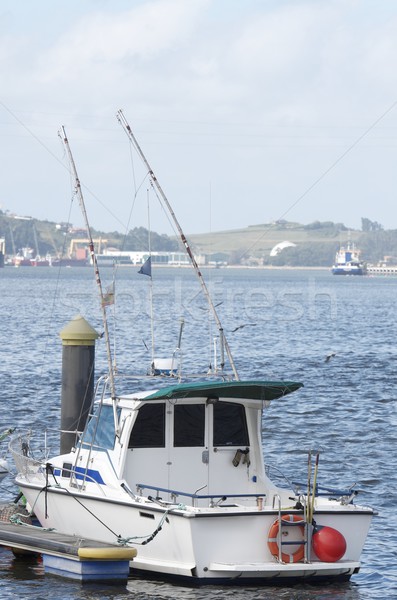 fishing boat Stock photo © pedrosala