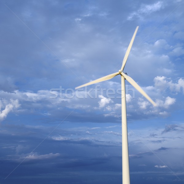 Wind Energie Windmühle erneuerbar elektrische Produktion Stock foto © pedrosala