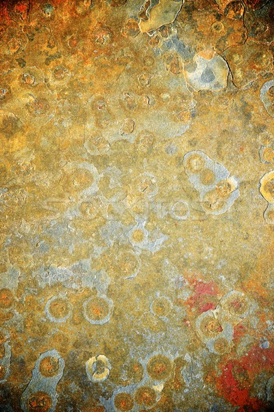 Table slate Stock photo © pedrosala