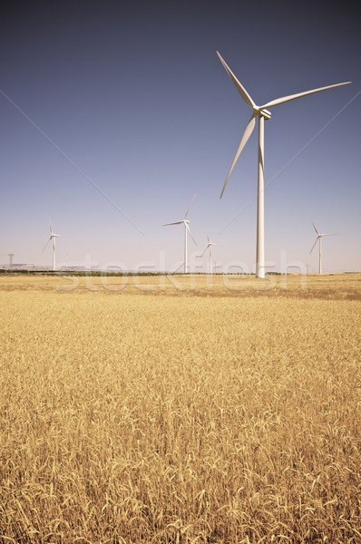 Szél energia elektromos erő gyártás égbolt Stock fotó © pedrosala