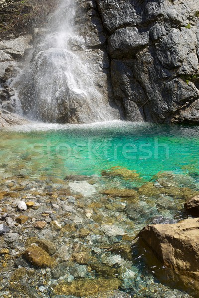 Wodospad dolinie wody zielone prędkości rzeki Zdjęcia stock © pedrosala