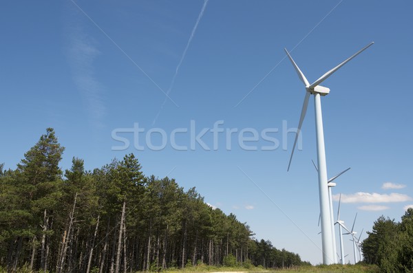 wind turbines Stock photo © pedrosala