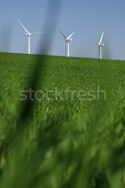 Rüzgâr enerji görmek çim teknoloji alan Stok fotoğraf © pedrosala