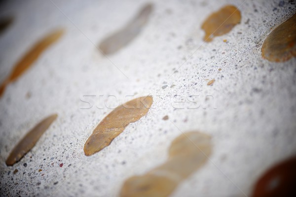 Floor background Stock photo © pedrosala