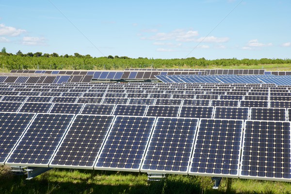 Energia solar fotovoltaica elétrico produção tecnologia Foto stock © pedrosala