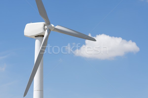 windmill Stock photo © pedrosala