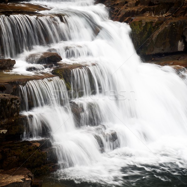 Park waterval natuur berg rivier splash Stockfoto © pedrosala