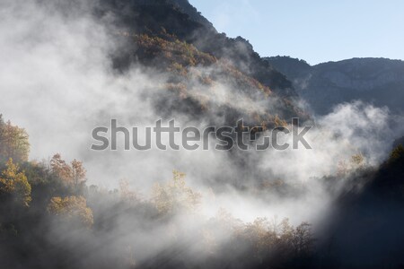 Automne forêt vallée parc arbre [[stock_photo]] © pedrosala