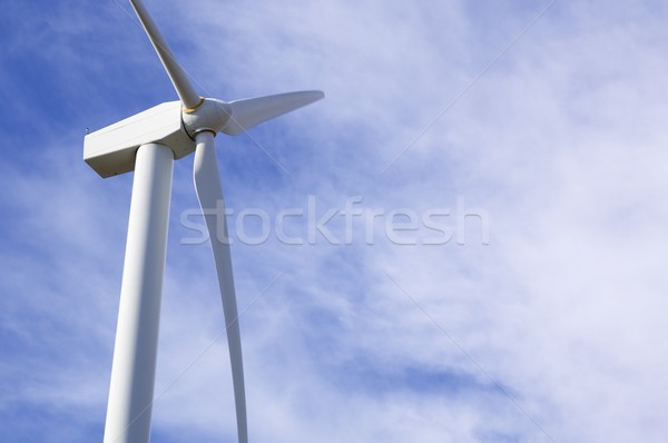 windmill Stock photo © pedrosala