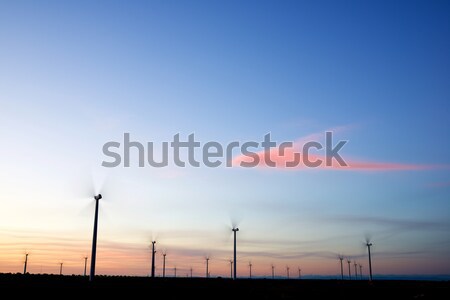 Vento energia elettrici potere produzione farm Foto d'archivio © pedrosala