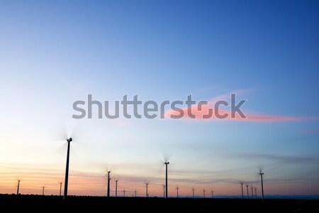 Wind energy Stock photo © pedrosala