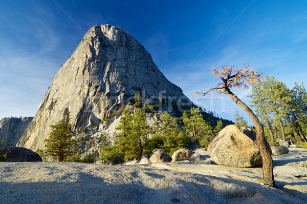 Stock fotó: Hörcsög · sapka · Yosemite · Nemzeti · Park · Kalifornia · Egyesült · Államok · erdő