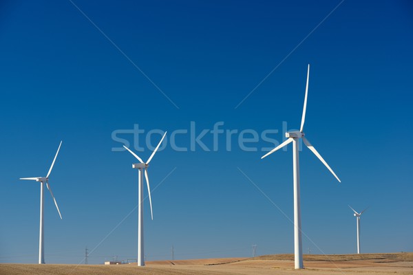 Szél energia megújuló elektromos gyártás égbolt Stock fotó © pedrosala