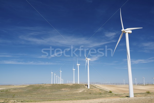 Wind energy Stock photo © pedrosala
