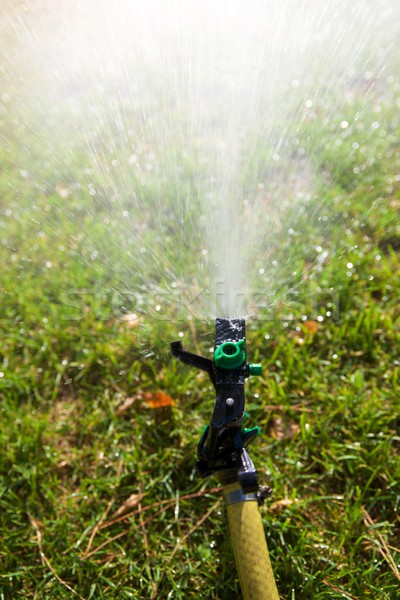 Sprinkler Bewässerung Garten Frühling Landschaft Stock foto © pedrosala