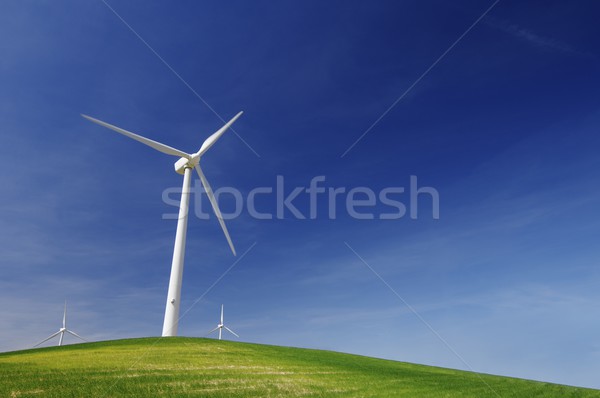 風 能源 綠色 山 藍天 草 商業照片 © pedrosala
