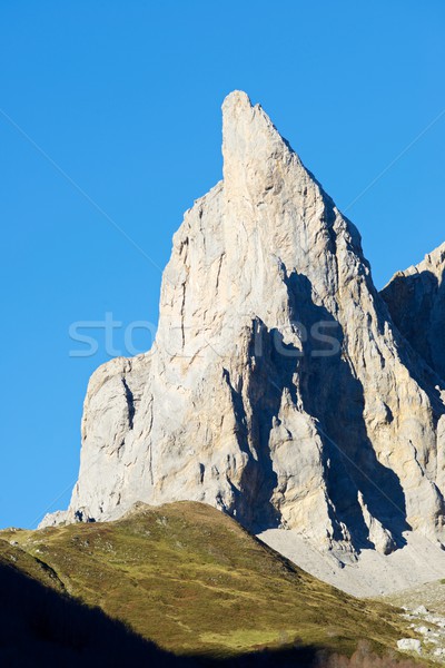 Pyrenees Stock photo © pedrosala