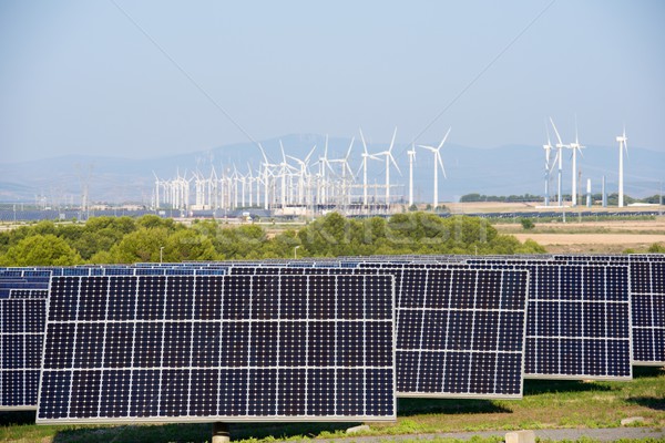 Erneuerbare Energien Photovoltaik Energie Produktion Natur Technologie Stock foto © pedrosala