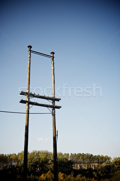 Wooden pylon Stock photo © pedrosala