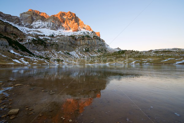 Pyrenees Stock photo © pedrosala