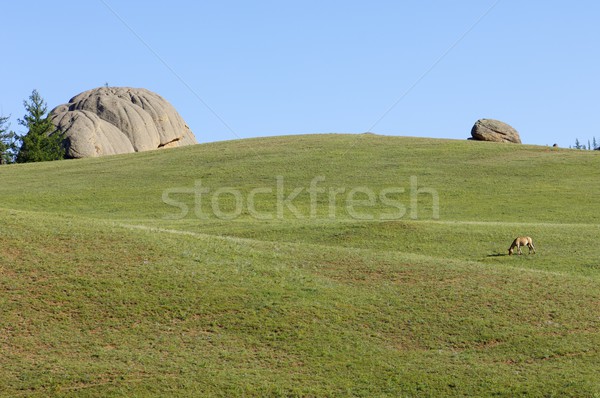 Mongolian landscape Stock photo © pedrosala