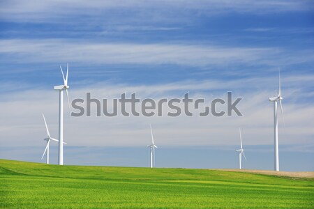 Szél energia elektromos erő gyártás farm Stock fotó © pedrosala