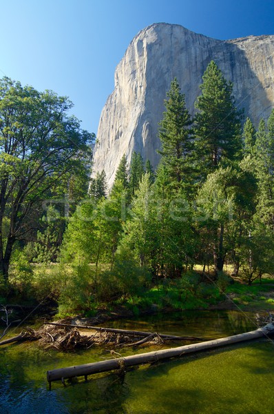 El Capitan Stock photo © pedrosala