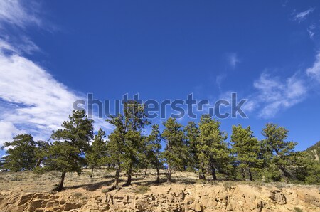 Rocky Mountain National Park Stock photo © pedrosala