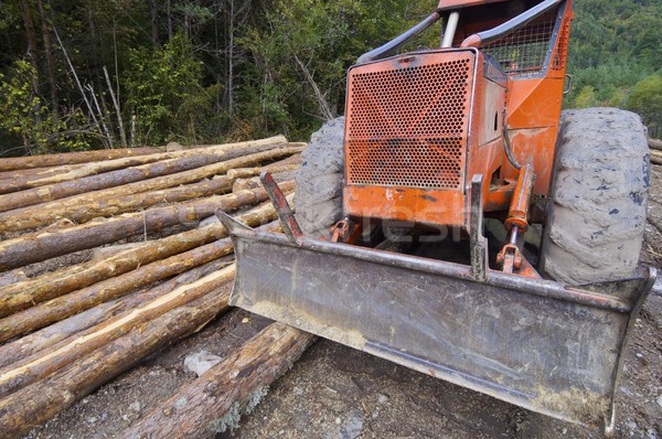 Stock foto: Stämme · Wald · Tal · Baum · Holz · Arbeit