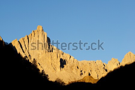 Pyrenees Stock photo © pedrosala