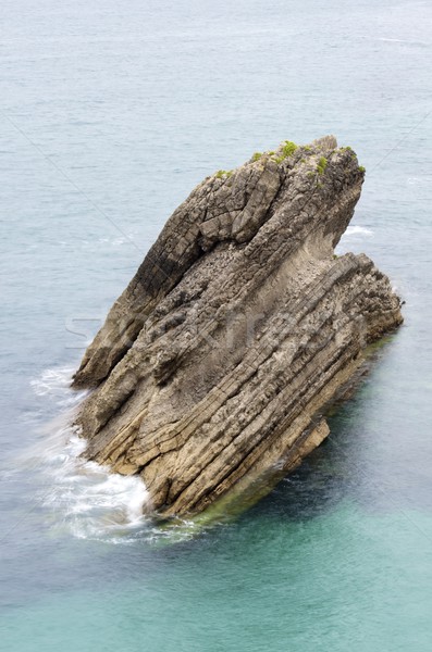 rock Stock photo © pedrosala