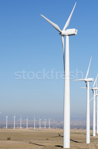windmills Stock photo © pedrosala