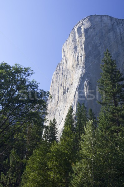 Stock photo: Capitan