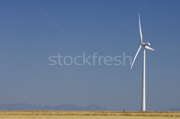 wind energy Stock photo © pedrosala