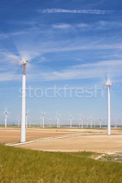 Vento energia elettrici potere produzione farm Foto d'archivio © pedrosala