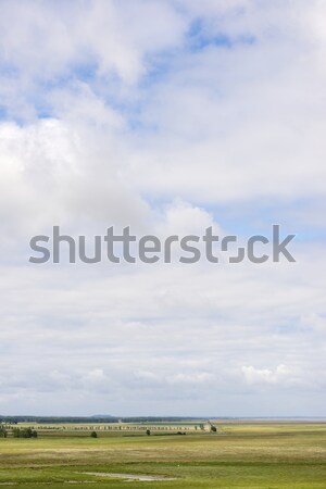 Normandie charakteristisch Wolke Landschaft Frankreich Baum Stock foto © pedrosala