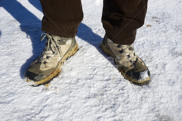 Hiking boots Stock photo © pedrosala
