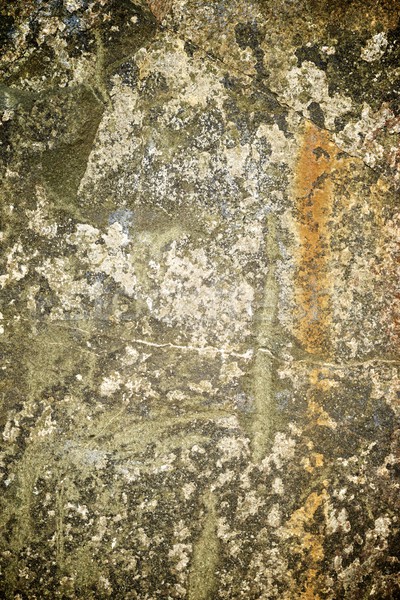 Stone Stock photo © pedrosala