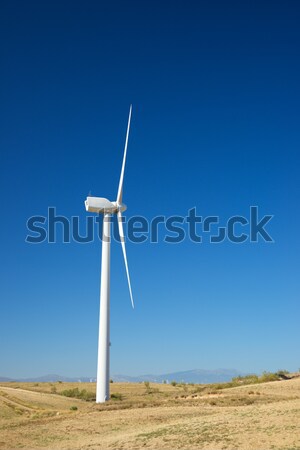 flock and windmills Stock photo © pedrosala