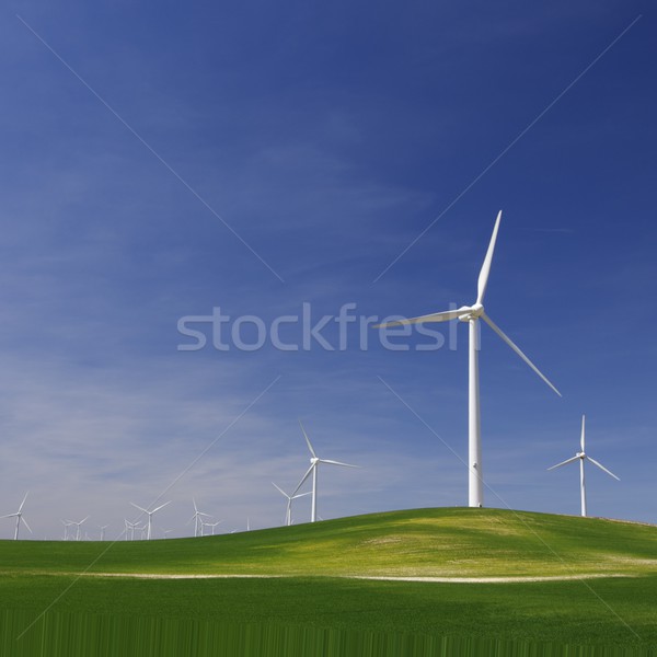 Groupe idyllique prairie ciel nuages herbe [[stock_photo]] © pedrosala