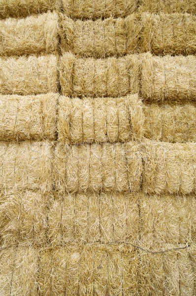 straw bales Stock photo © pedrosala