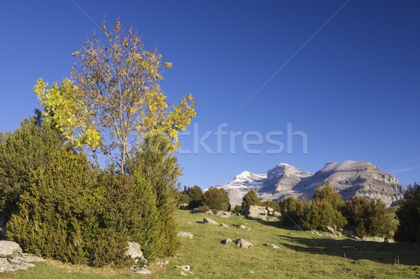 mountain landscape Stock photo © pedrosala