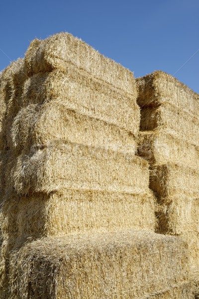 Foto stock: Paja · cielo · azul · cielo · textura · alimentos