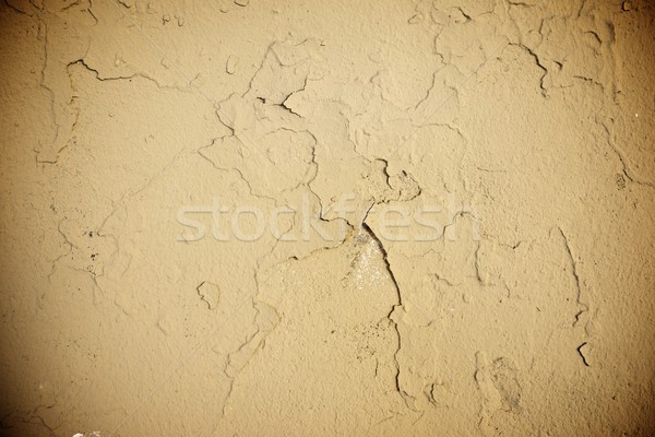 Muro vecchio alto texture abstract Foto d'archivio © pedrosala